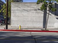 a yellow fire hydrant sitting between two trees and on the corner of an empty street