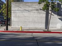 a yellow fire hydrant sitting between two trees and on the corner of an empty street