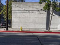 a yellow fire hydrant sitting between two trees and on the corner of an empty street