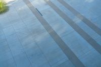 an image of a person with a skateboard on the concrete path to some trees