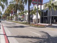 a street with palm trees and cars parked on it and a sidewalk lined with shops