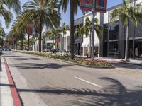 a street with palm trees and cars parked on it and a sidewalk lined with shops