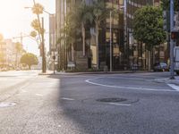 a cross walk way at an intersection with tall buildings and palm trees in the background