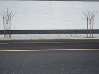 Urban Design in Los Angeles: Tree-Lined Streets