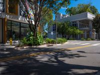 Urban Design in Miami: Exploring the Art District