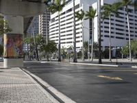 an empty street in front of palm trees with large modern building and sky scrapes on the right side