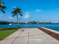 a sidewalk leading to the water with palm trees in the foreground on a clear day