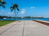 a sidewalk leading to the water with palm trees in the foreground on a clear day