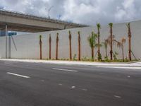 Urban Design in Miami, Florida