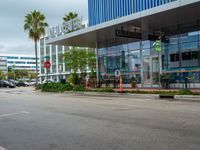 a stop sign in front of an office building with palm trees on the side of the road