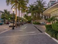 a city street with trees, bushes, cars and buildings in the evening dusk time