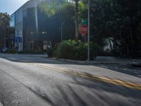 street and trees with a stop sign on one side and palm trees and bushes on the other