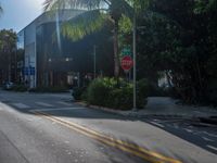 street and trees with a stop sign on one side and palm trees and bushes on the other