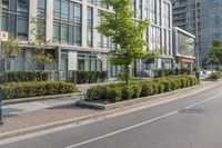 a long empty road near a row of buildings with trees and bushes on the sides of it