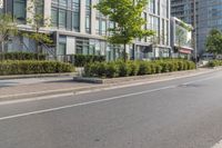 a long empty road near a row of buildings with trees and bushes on the sides of it
