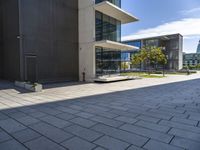 this picture shows an empty parking lot with large windows on it and many small trees in front of the building