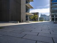 this picture shows an empty parking lot with large windows on it and many small trees in front of the building