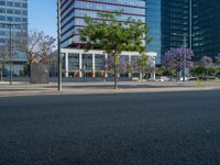 an empty street in front of a building and trees on the other side of the road