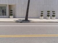 a woman walking across a street past tall plants and trees on either side of the road