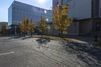 a view of a parking lot with lots of trees and buildings along it in the distance