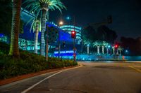 an empty city road with palm trees and a building illuminated at night in the background