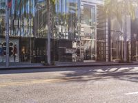 a storefront in hollywood with an outside parking lot and palm trees outside the building