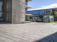 some green grass and an empty courtyard with buildings in the background and a person on a phone