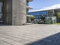 some green grass and an empty courtyard with buildings in the background and a person on a phone