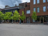 street corner with tree on the corner of the corner and a building behind it that is surrounded by multiple windows and a perforated brown lattice