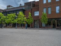 street corner with tree on the corner of the corner and a building behind it that is surrounded by multiple windows and a perforated brown lattice