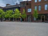 street corner with tree on the corner of the corner and a building behind it that is surrounded by multiple windows and a perforated brown lattice