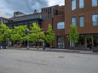 street corner with tree on the corner of the corner and a building behind it that is surrounded by multiple windows and a perforated brown lattice