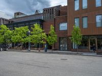 street corner with tree on the corner of the corner and a building behind it that is surrounded by multiple windows and a perforated brown lattice