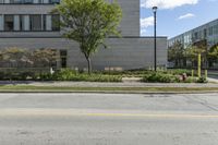 Urban Design: Road Surfaces Surrounded by Vegetation