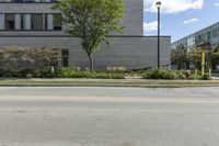 Urban Design: Road Surfaces Surrounded by Vegetation