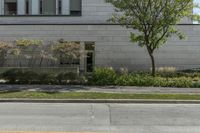 Urban Design: Road Surfaces Surrounded by Vegetation