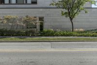 Urban Design: Road Surfaces Surrounded by Vegetation