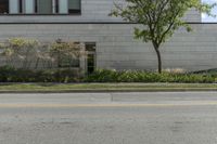 Urban Design: Road Surfaces Surrounded by Vegetation