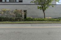 Urban Design: Road Surfaces Surrounded by Vegetation