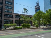 the green paint is painted on a bike path in front of an office building and large, trees