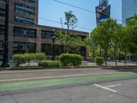 the green paint is painted on a bike path in front of an office building and large, trees