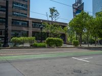 the green paint is painted on a bike path in front of an office building and large, trees