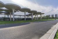 a road lined with silver trees in front of a glass building with tall columns and windows