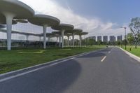 a road lined with silver trees in front of a glass building with tall columns and windows