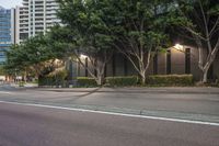 a woman riding a skateboard next to tall trees in the night sky, on a city sidewalk