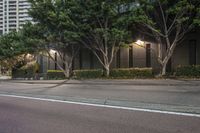 a woman riding a skateboard next to tall trees in the night sky, on a city sidewalk