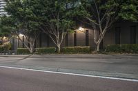 a woman riding a skateboard next to tall trees in the night sky, on a city sidewalk