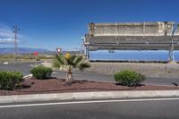 a billboard with a palm tree in the middle of a street with a road and bushes in the front