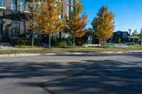 the man is riding his skateboard along the side of the road with autumn leaves