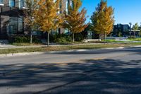 the man is riding his skateboard along the side of the road with autumn leaves